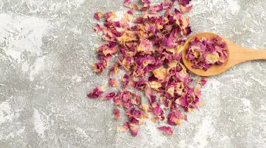 garnishing-instructions-image